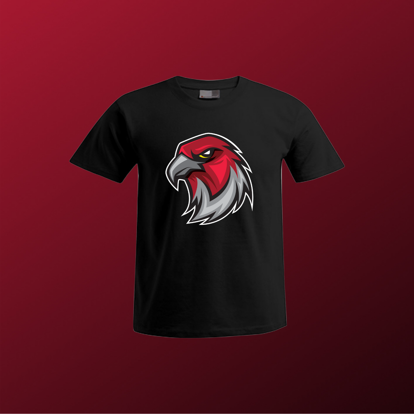 Falcons Germany "Profilbild"