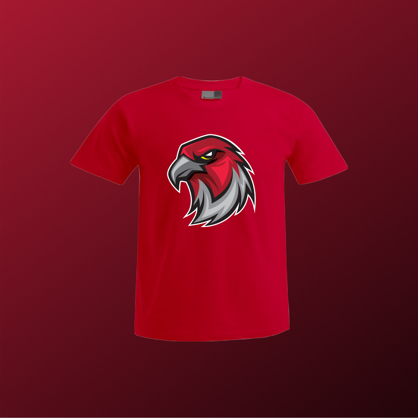 Falcons Germany "Profilbild"