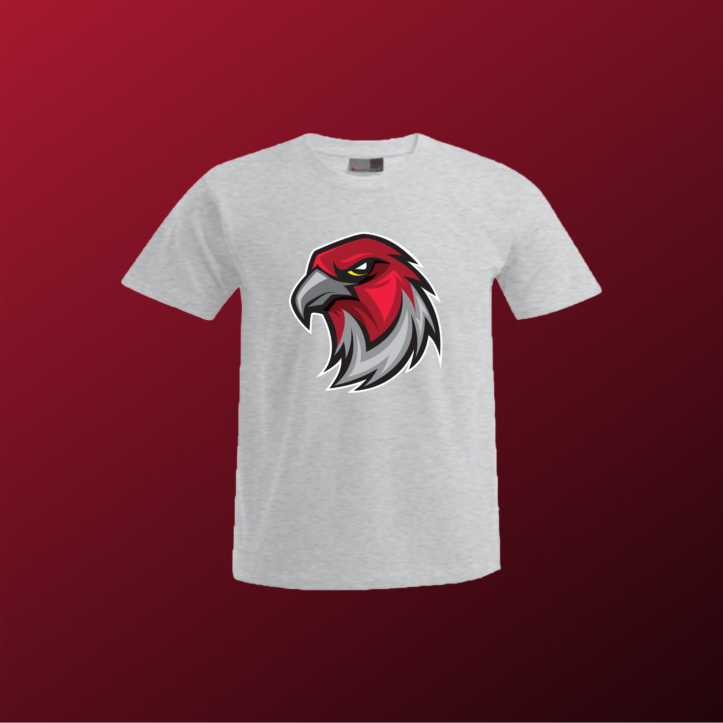 Falcons Germany "Profilbild"