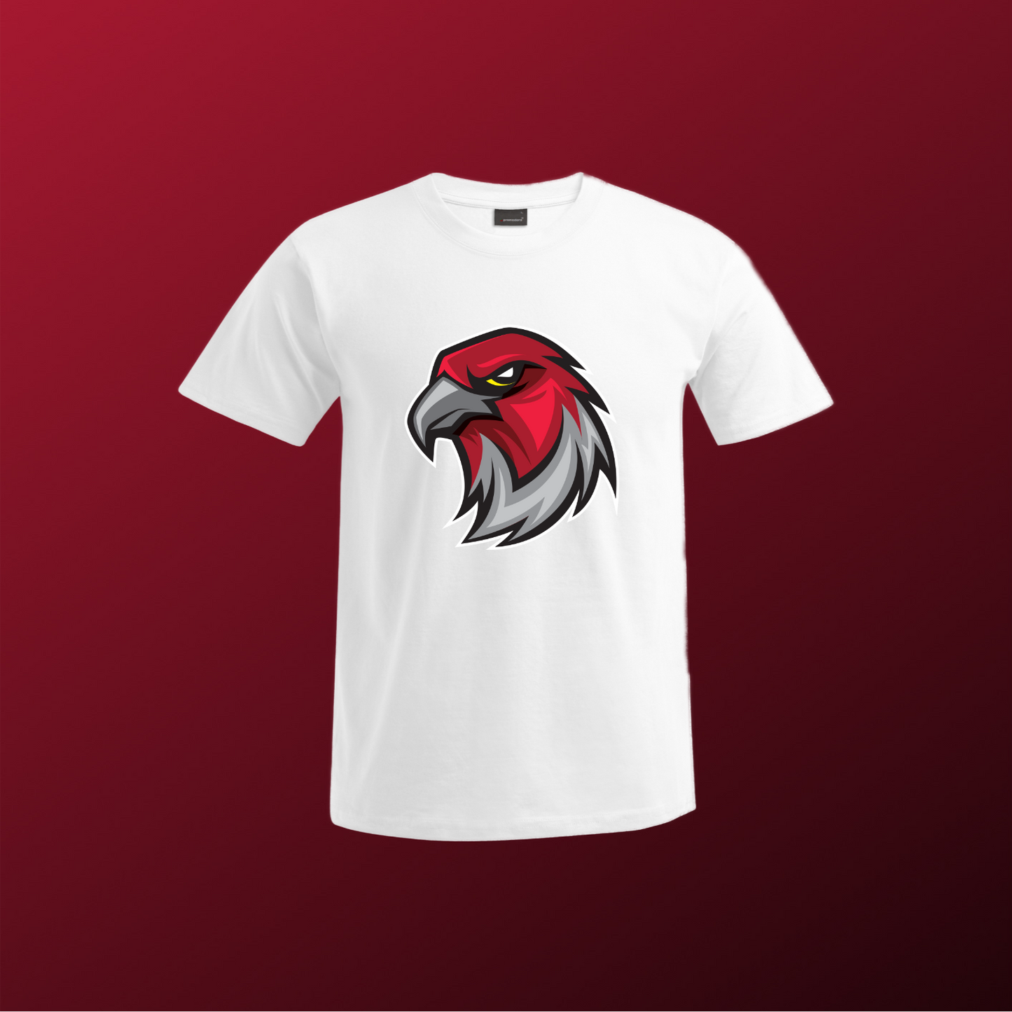 Falcons Germany "Profilbild"