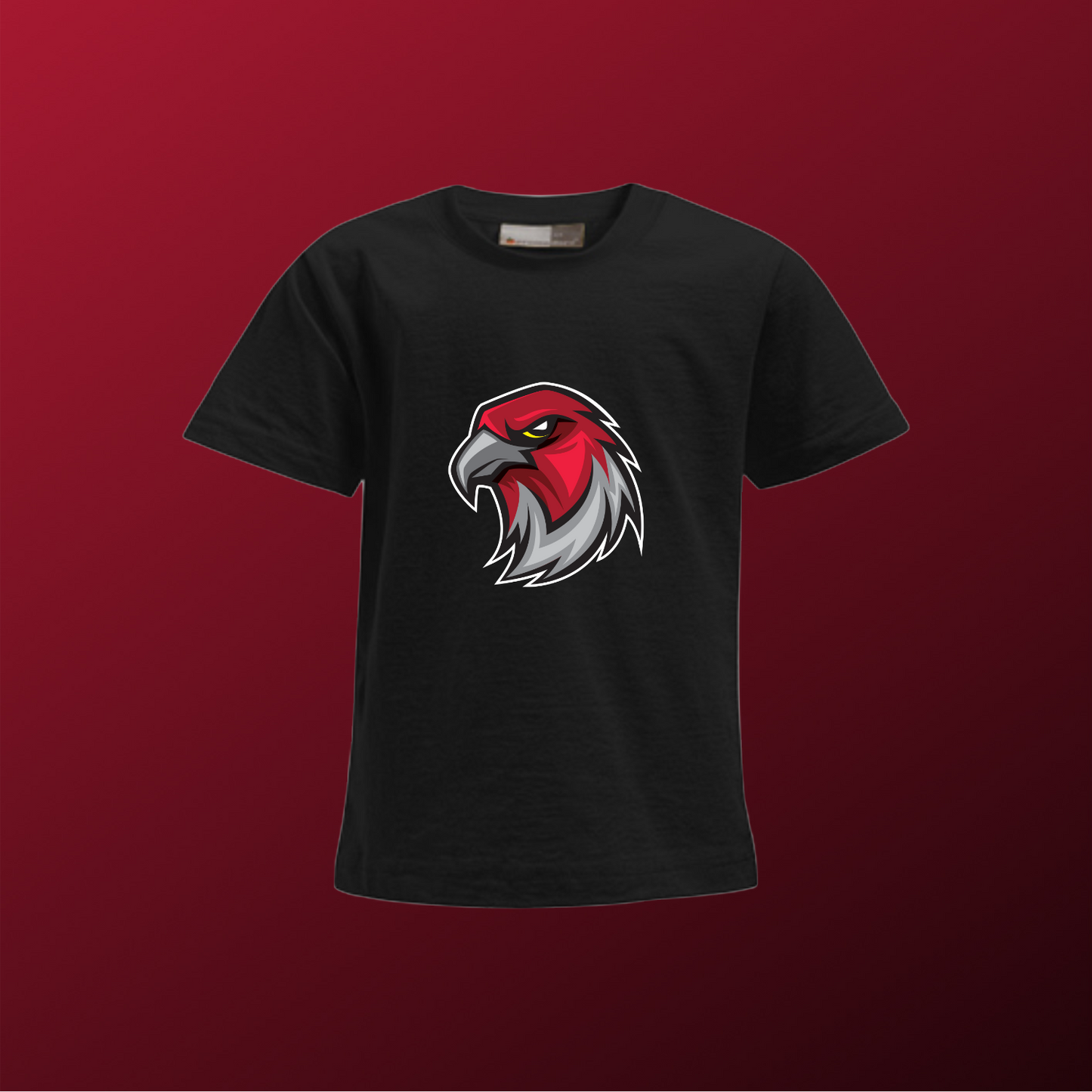 Falcons Germany "Profilbild"