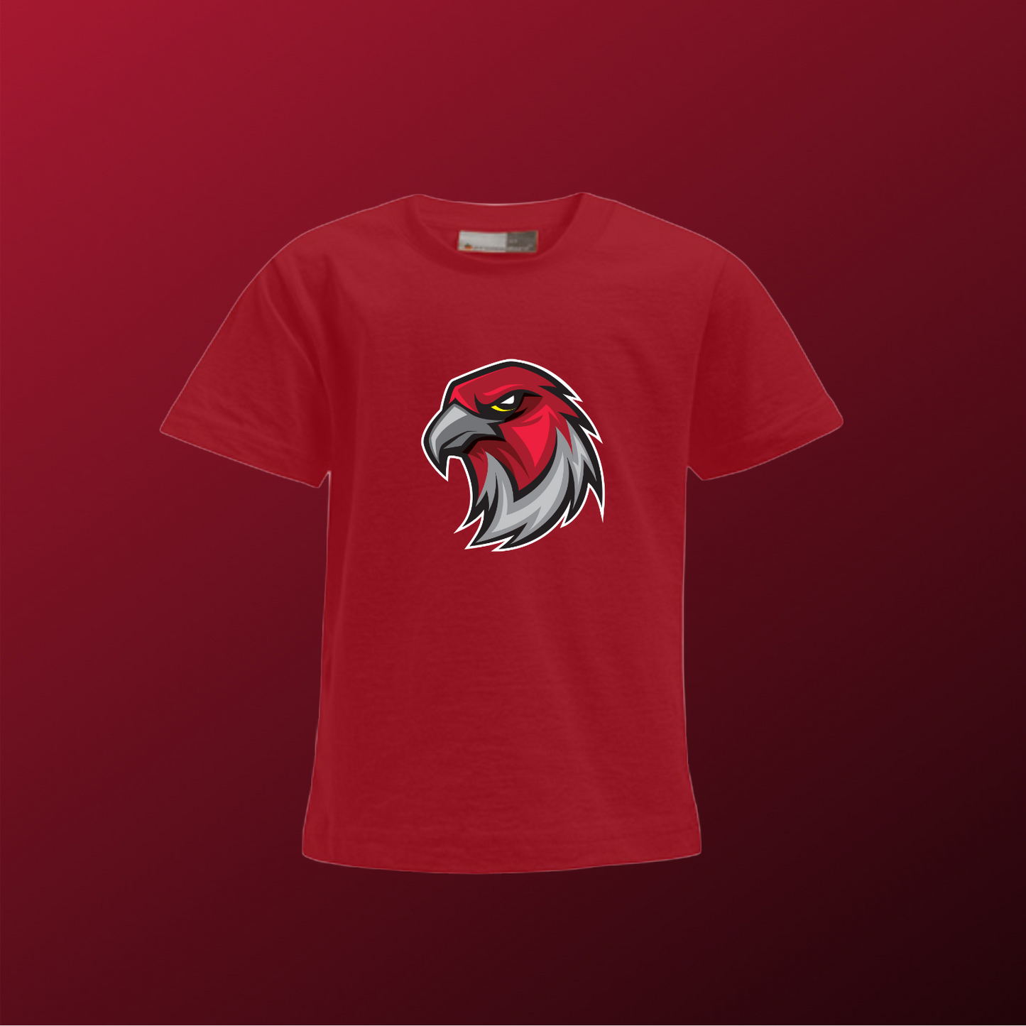 Falcons Germany "Profilbild"