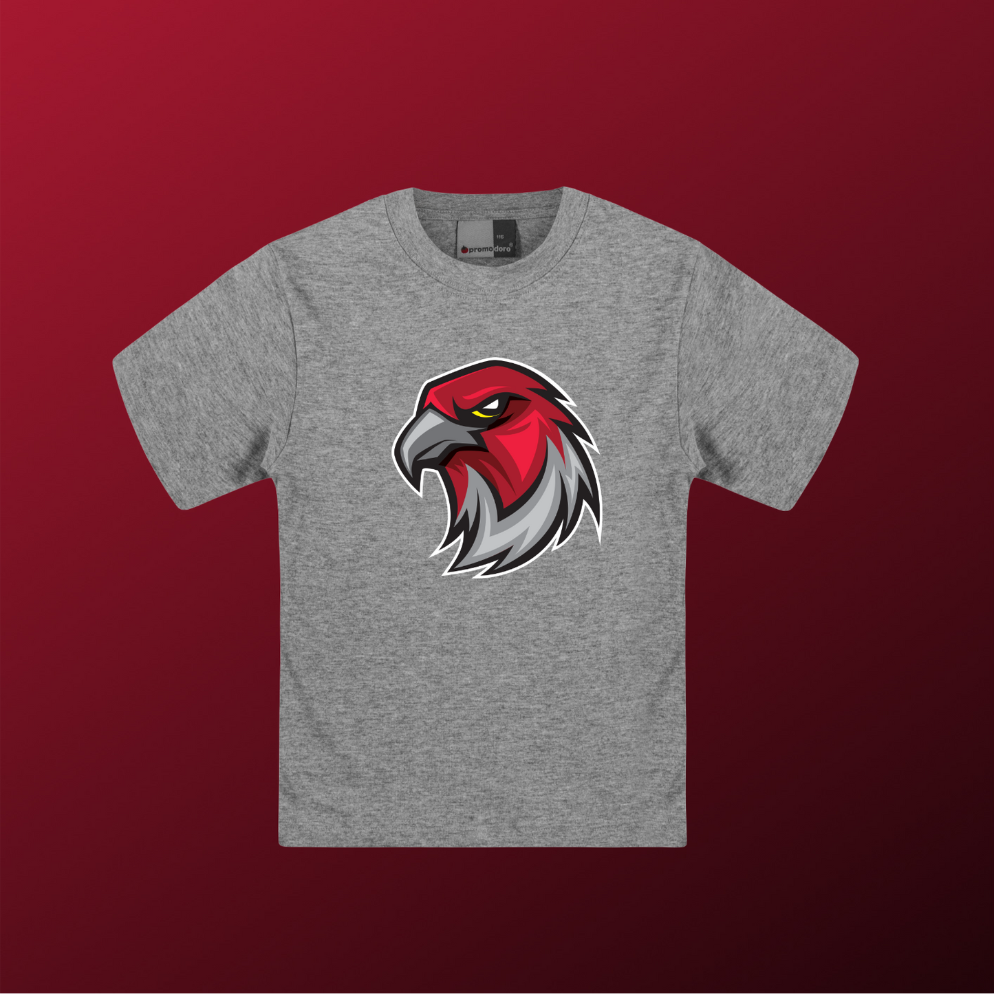 Falcons Germany "Profilbild"
