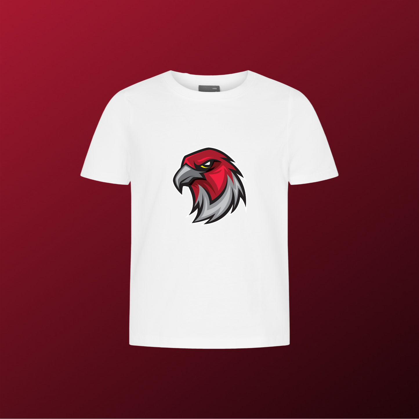Falcons Germany "Profilbild"