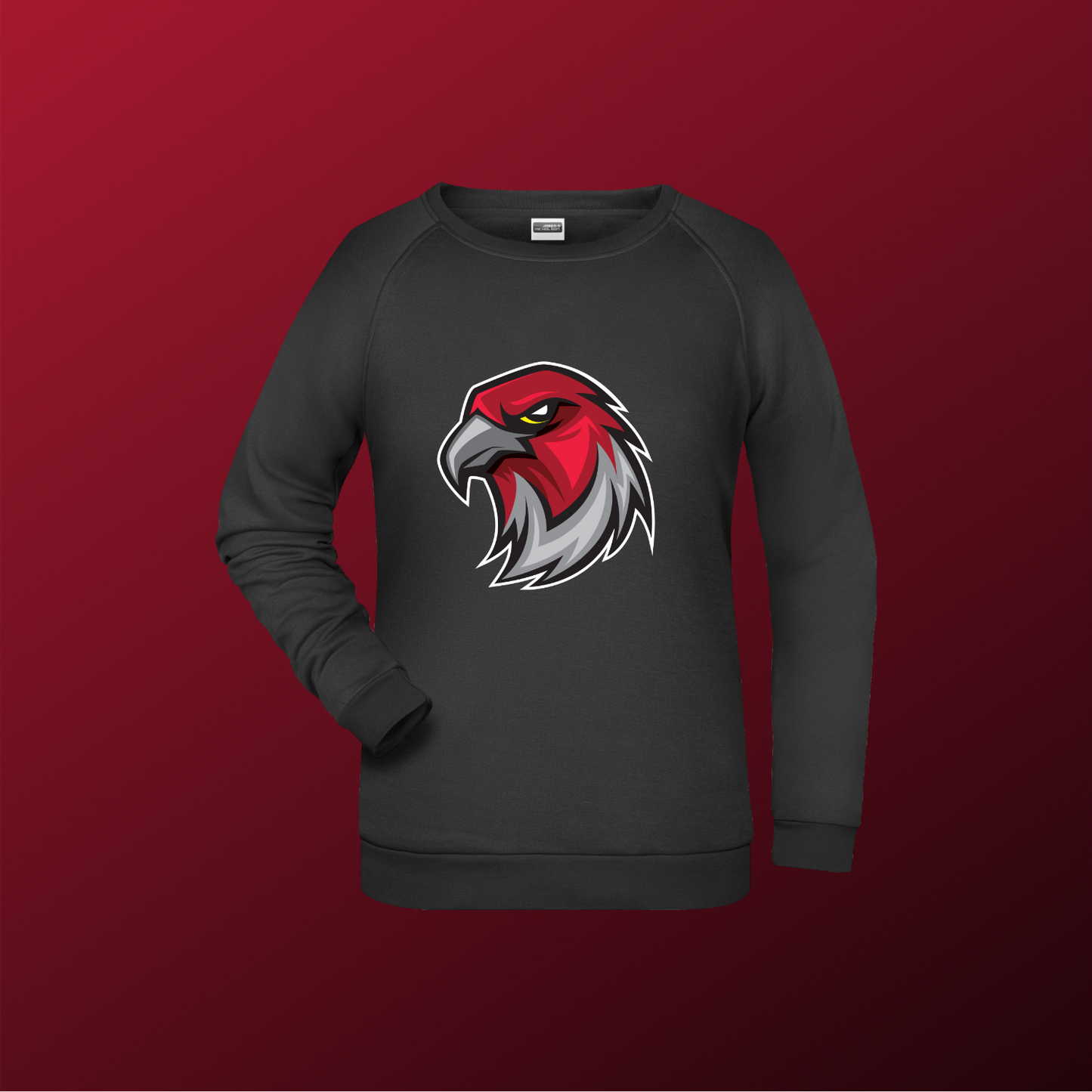Falcons Germany "Profilbild"
