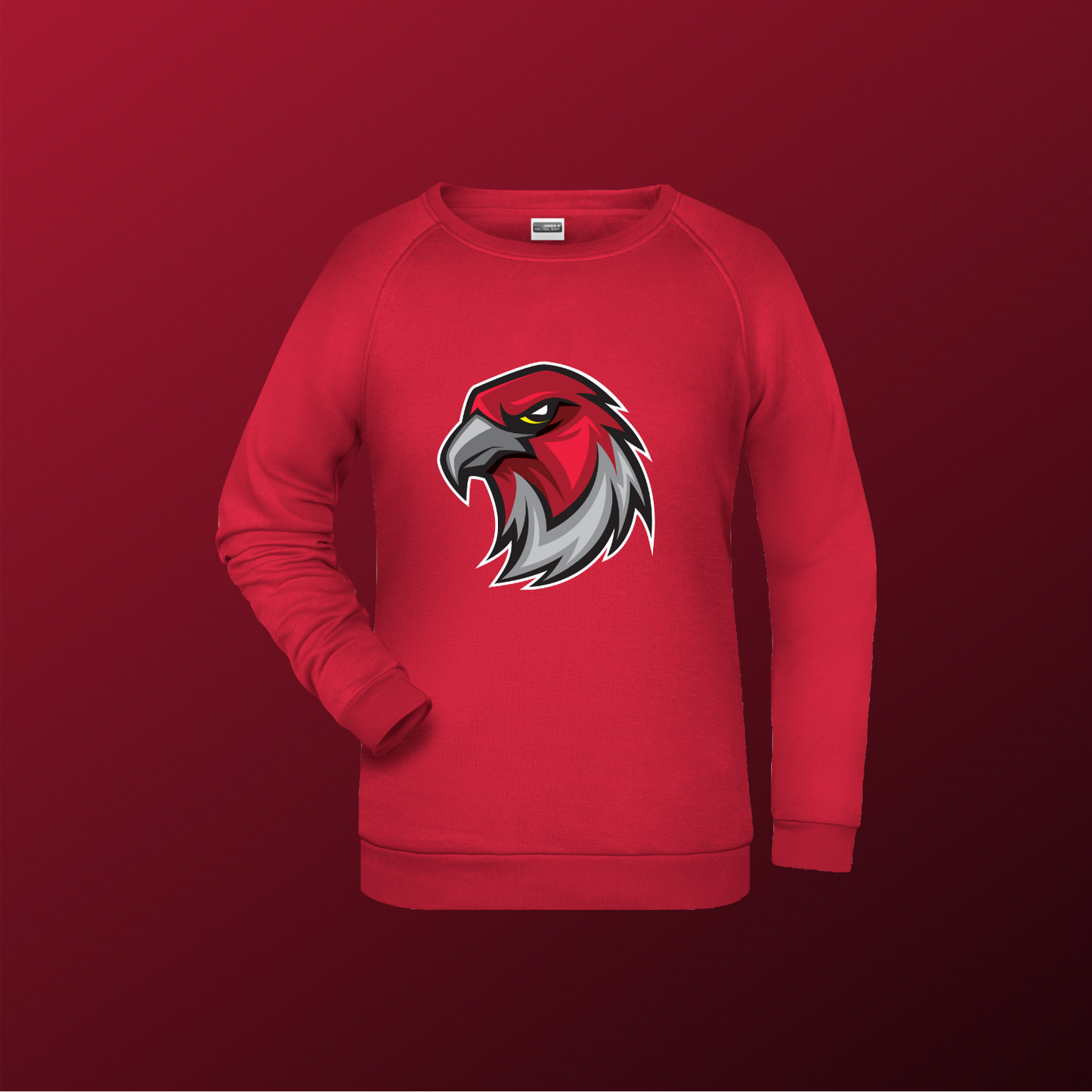 Falcons Germany "Profilbild"