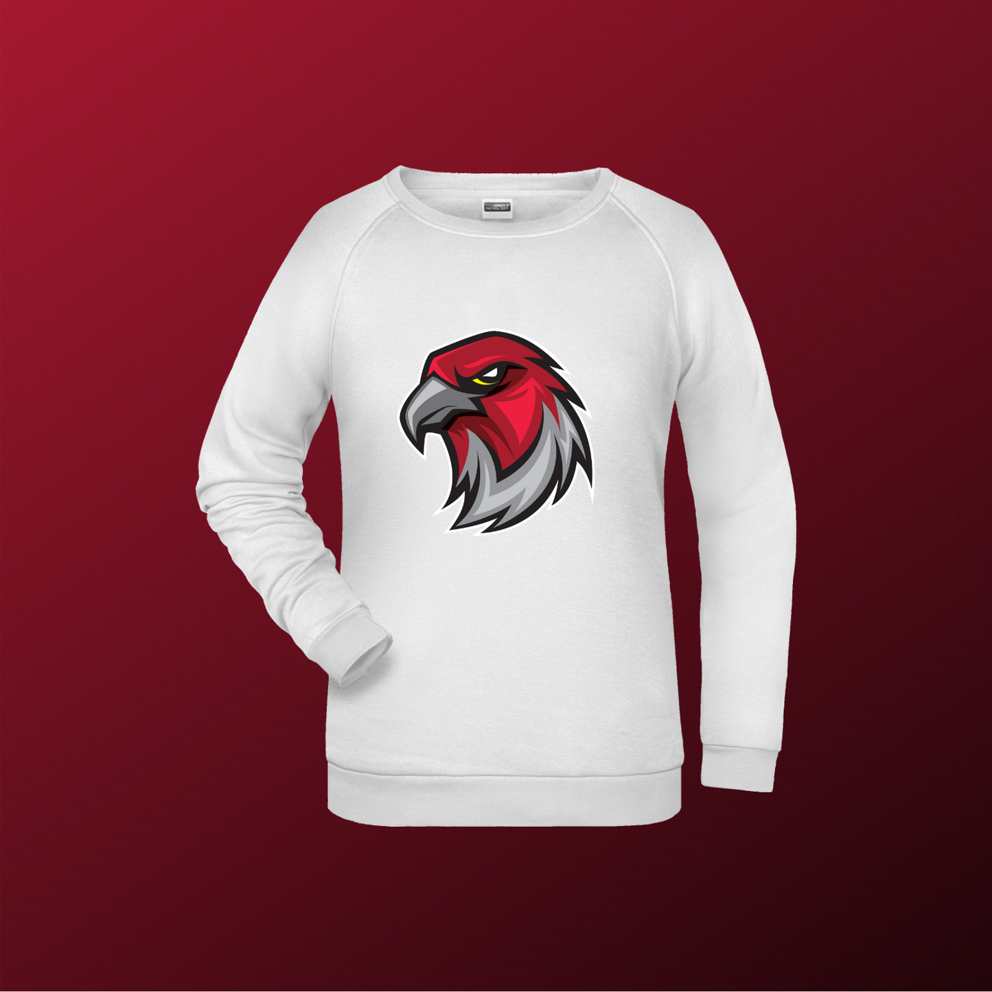 Falcons Germany "Profilbild"
