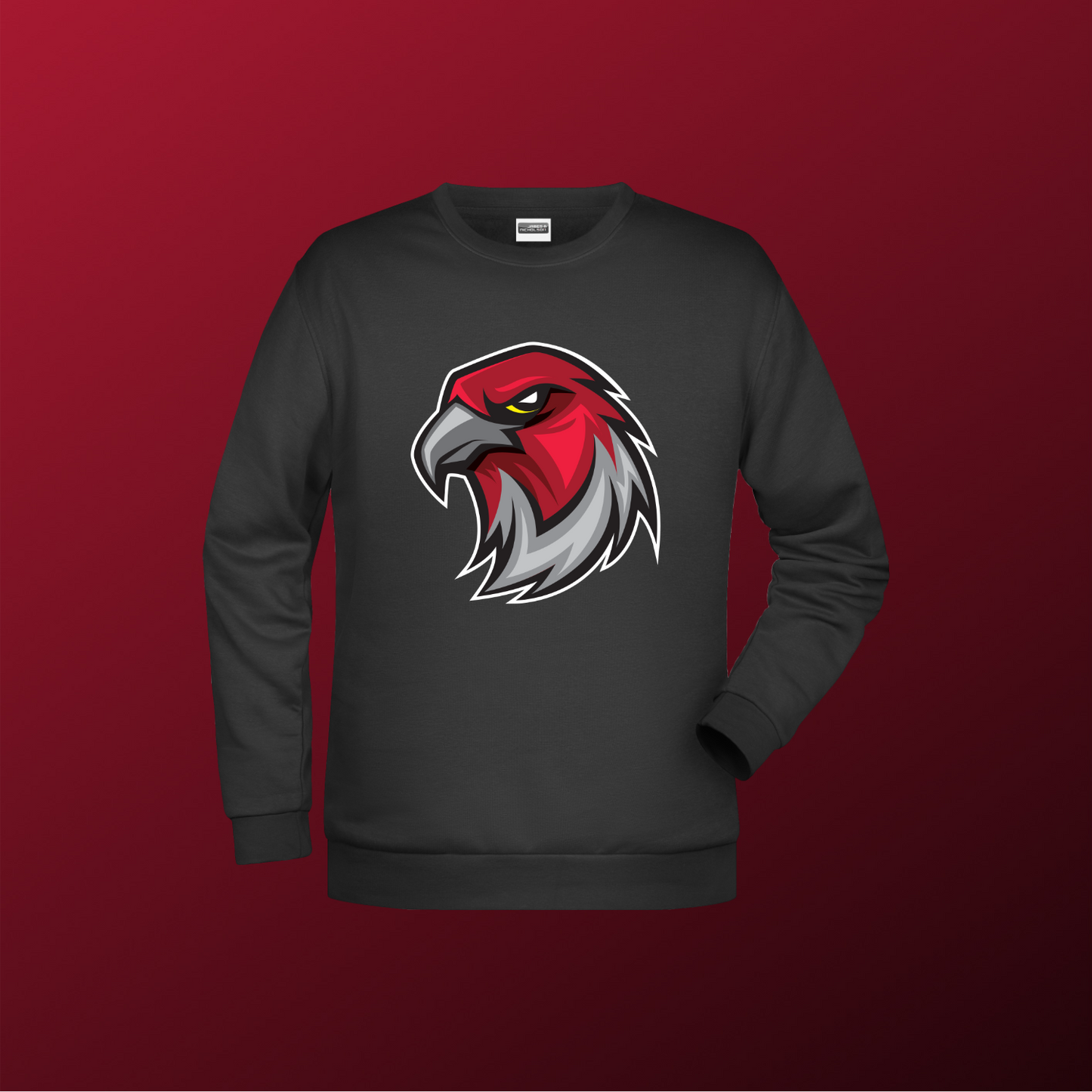 Falcons Germany "Profilbild"
