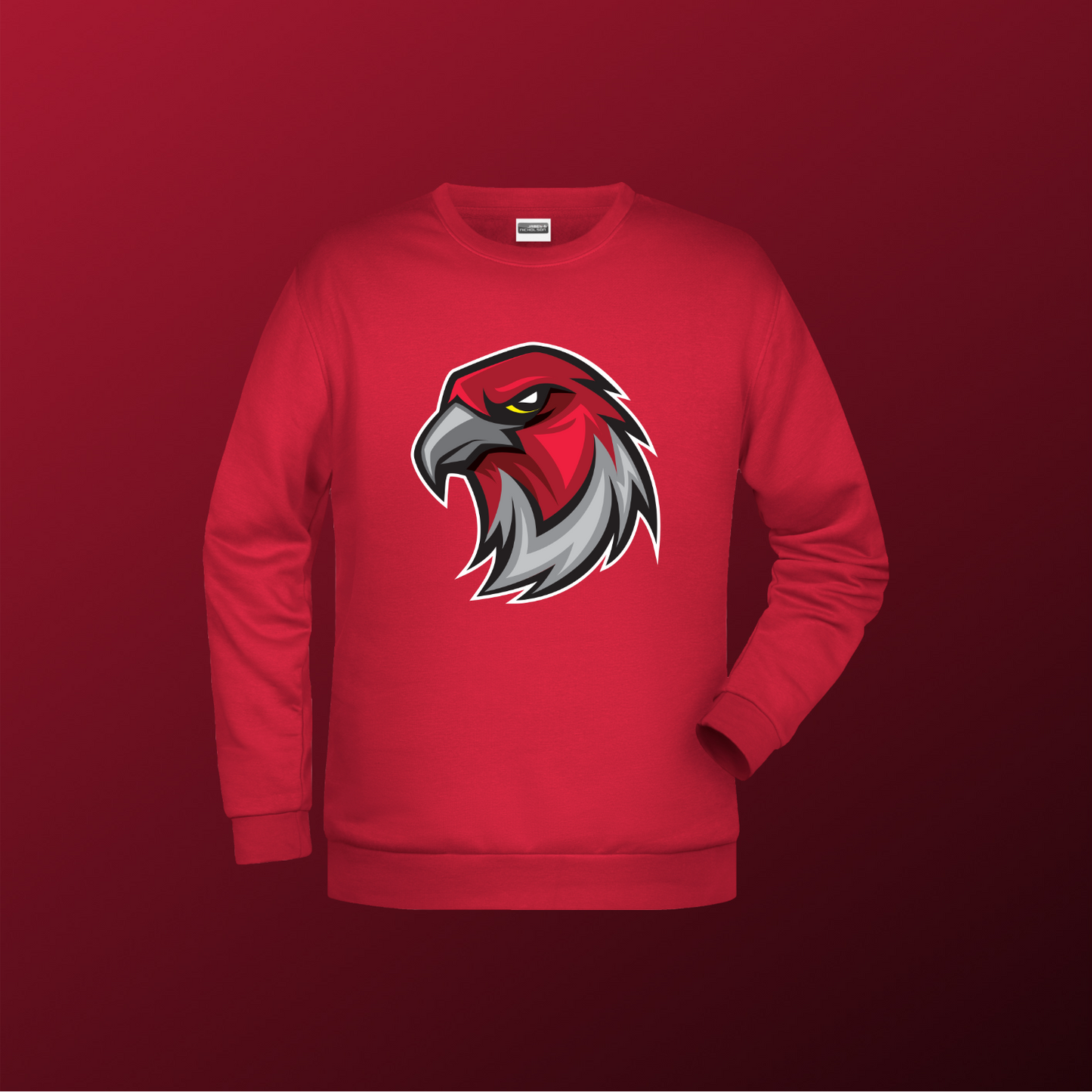 Falcons Germany "Profilbild"