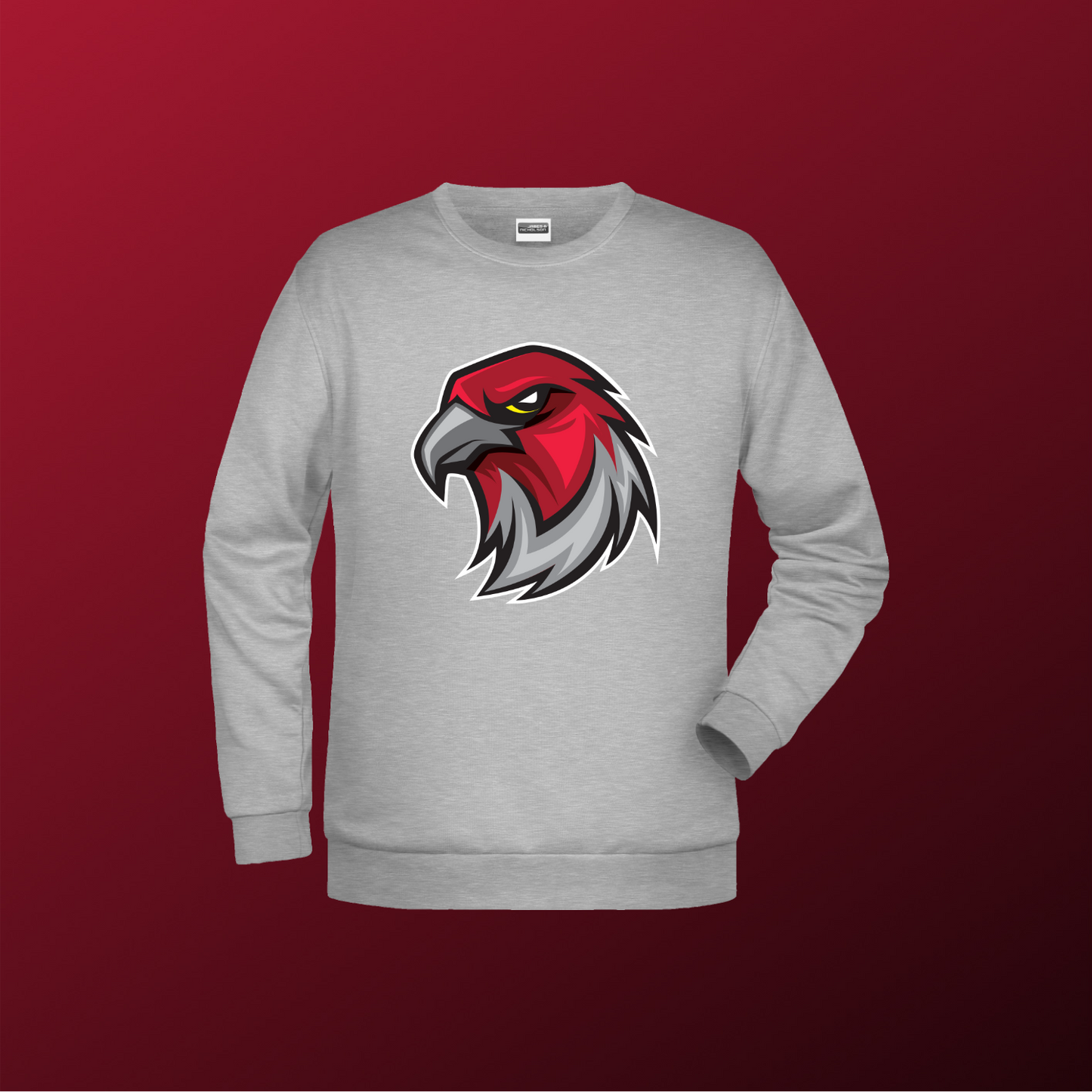 Falcons Germany "Profilbild"
