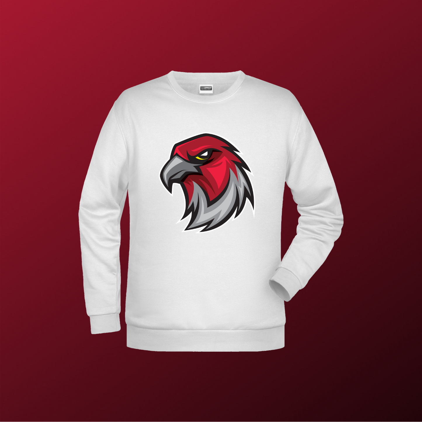 Falcons Germany "Profilbild"