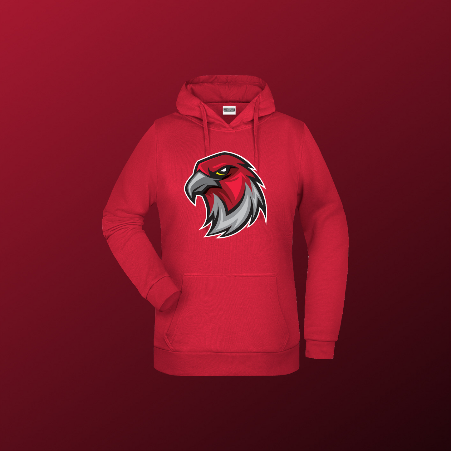 Falcons Germany "Profilbild"