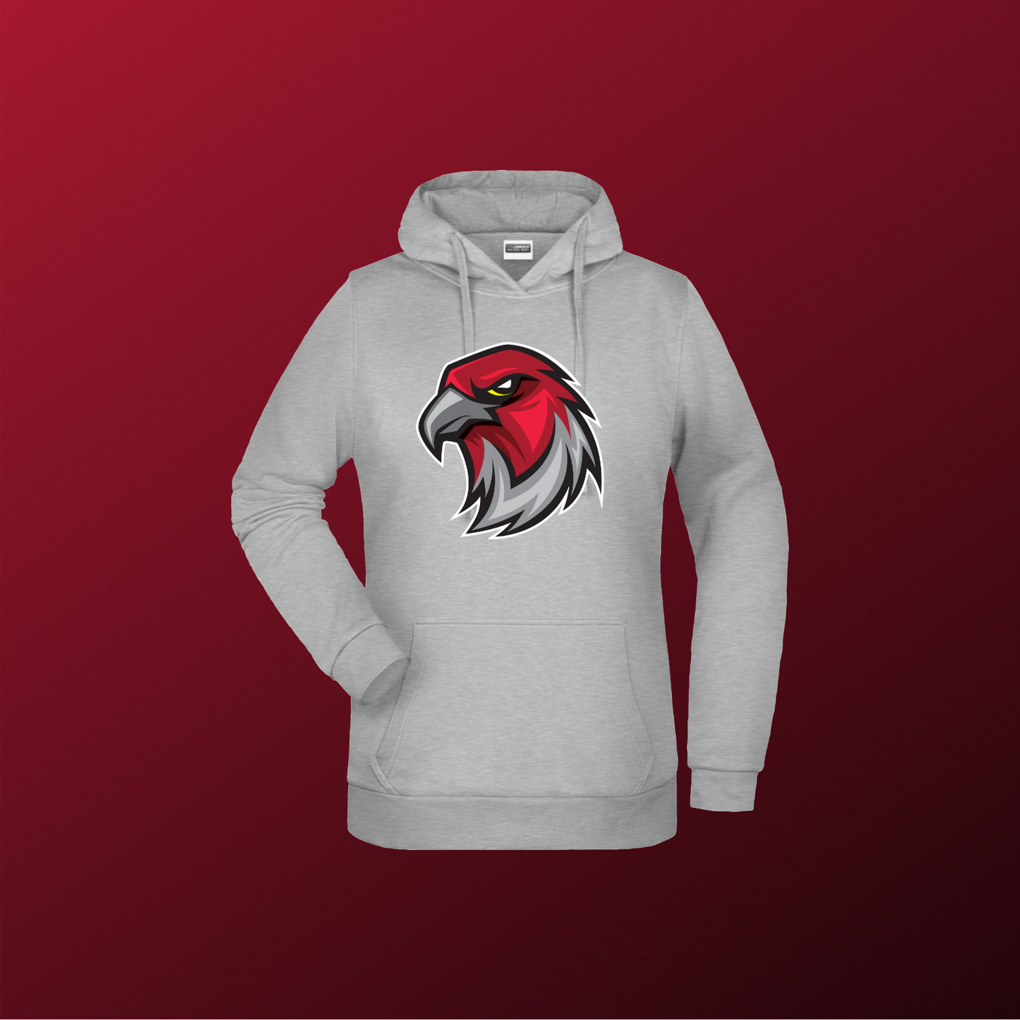 Falcons Germany "Profilbild"