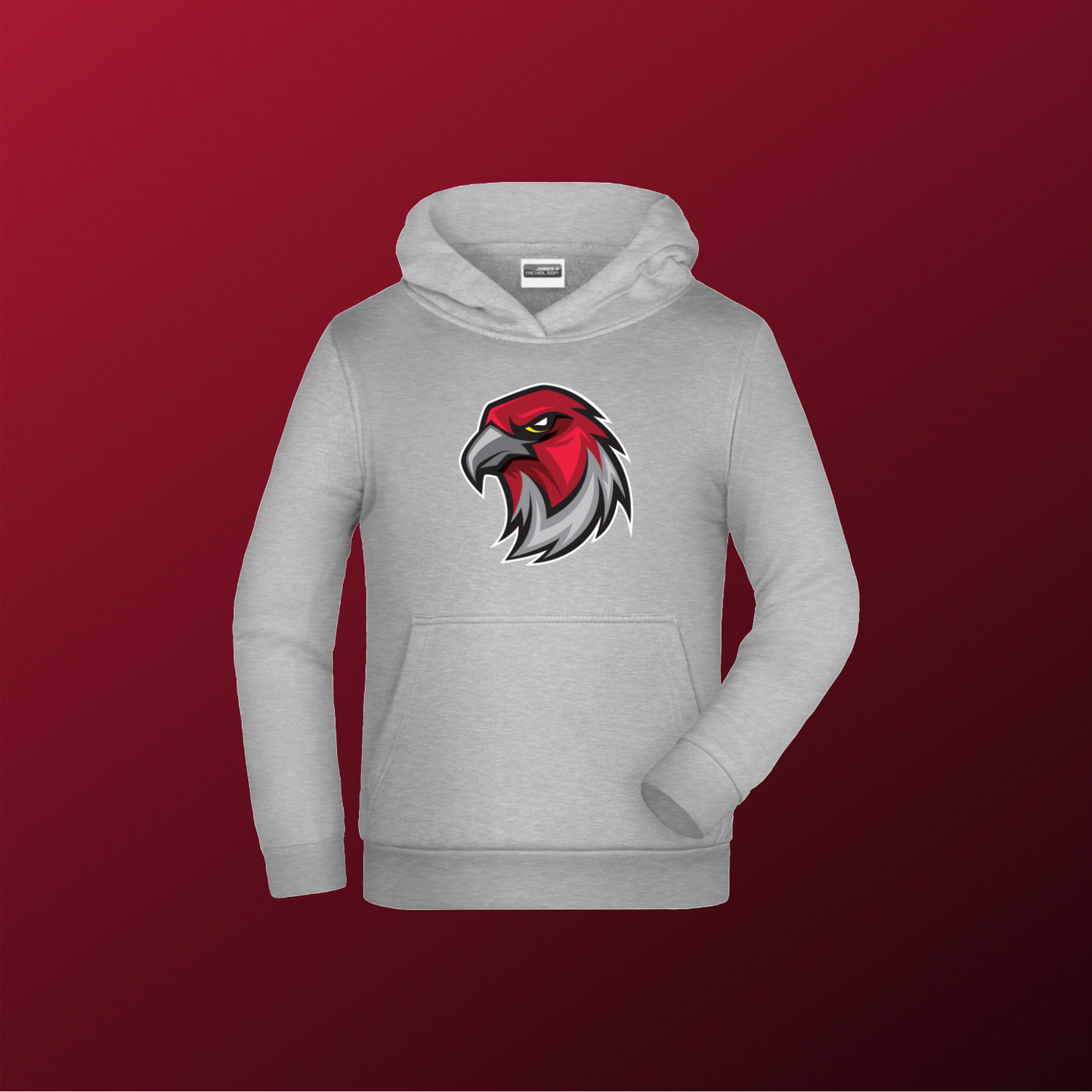 Falcons Germany "Profilbild"