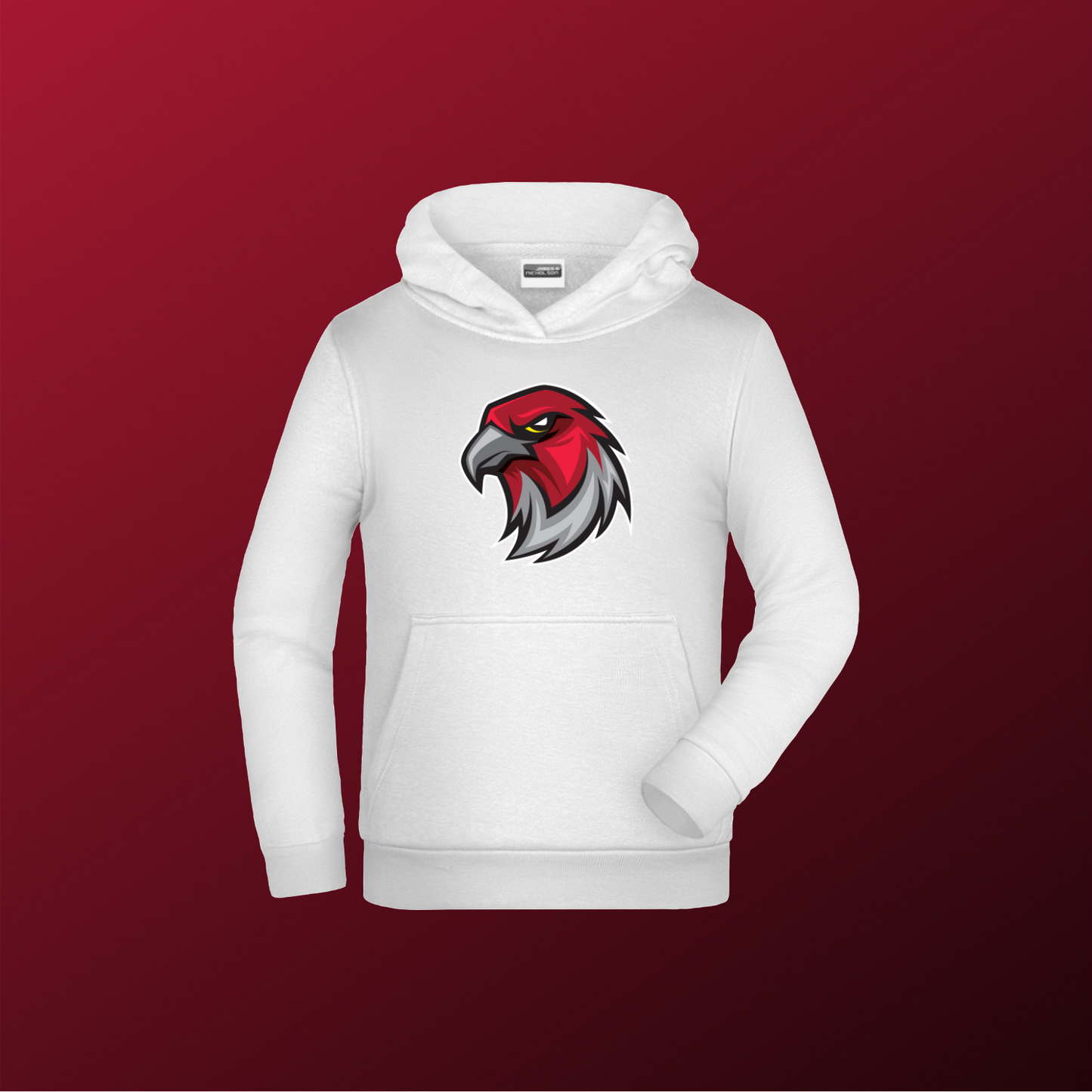 Falcons Germany "Profilbild"
